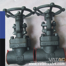 API 602 Forged Steel A105 Threaded&NPT Gate Valve